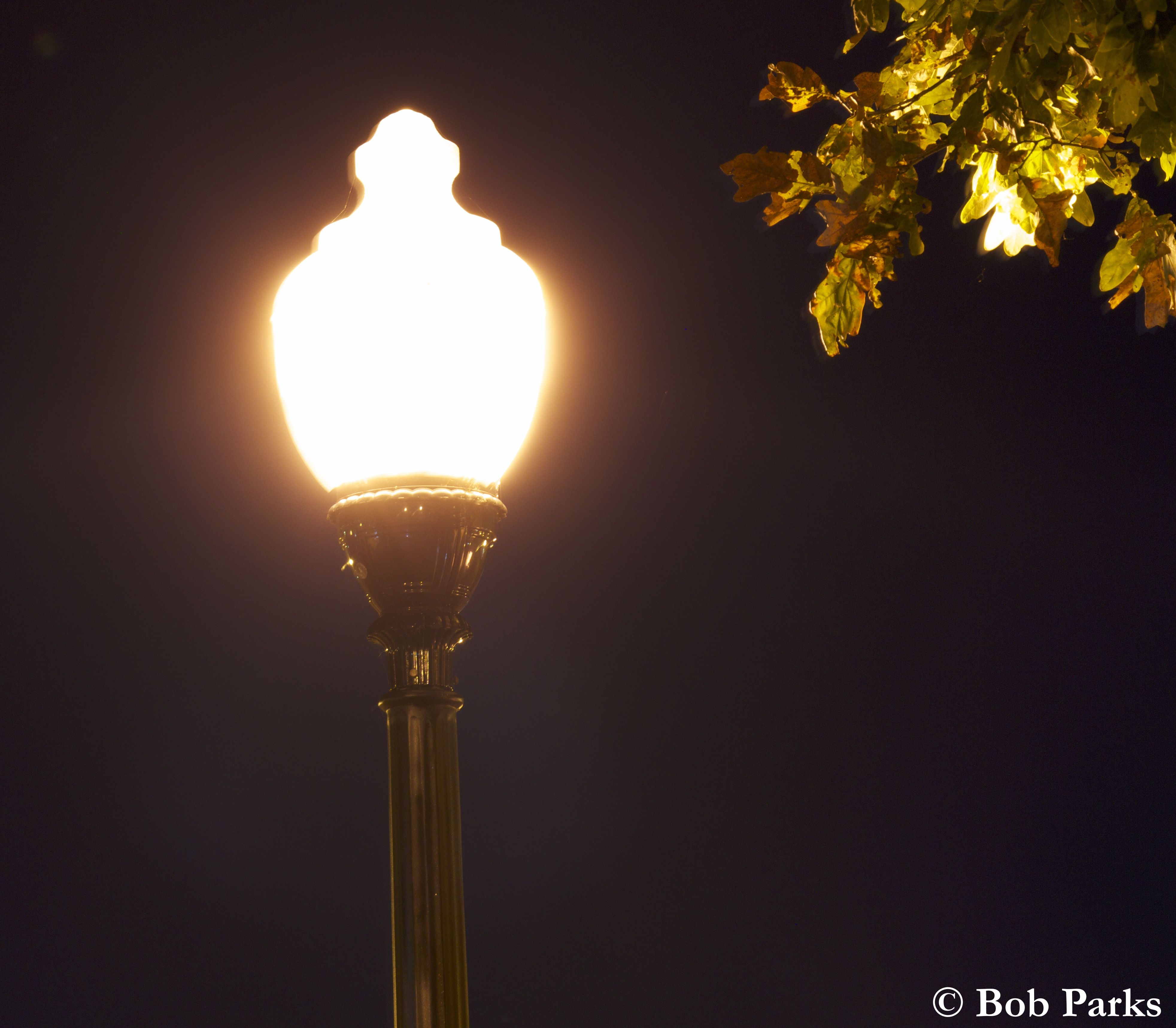 Glare from a street lamp